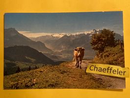 Leysin