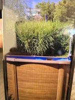 Mini Pool 2.5mDurchmesser  1.20mHoch 