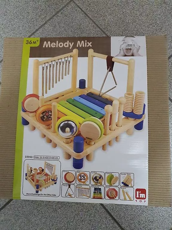 Strumenti musicali: Holzinstrumente – Usato da Waltenschwil venduto da ginola_23