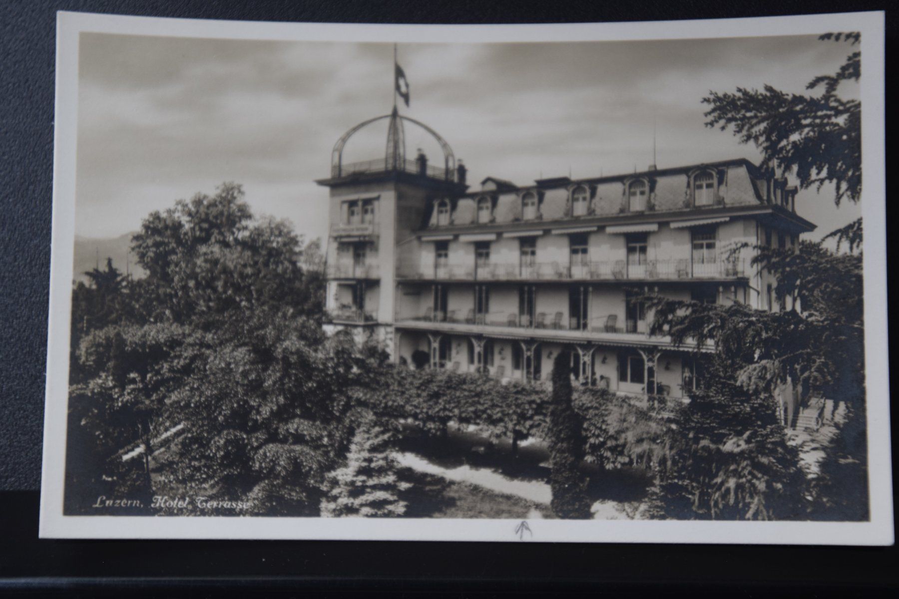 Cartes postales: AK Luzern, Hotel Terasse – D'occasion à Luzern par CH2018