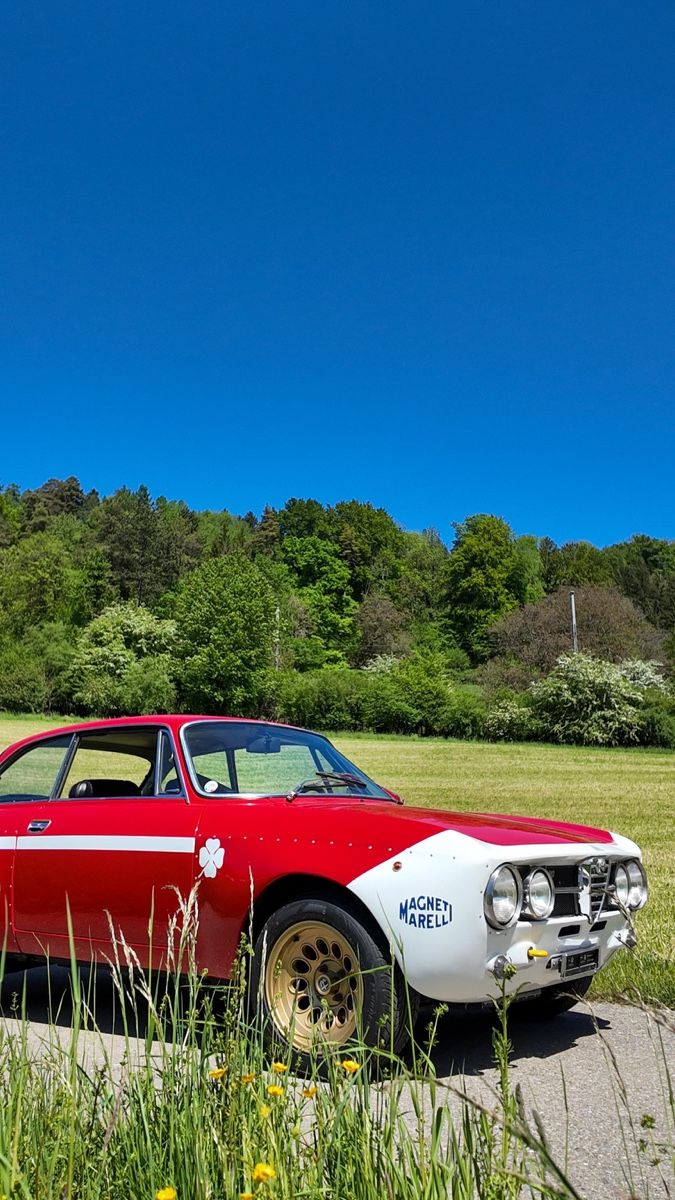 Alfa Romeo Automobili: Alfa Romeo GTAM (Replica) – Usato da Dietikon venduto da lofra 3