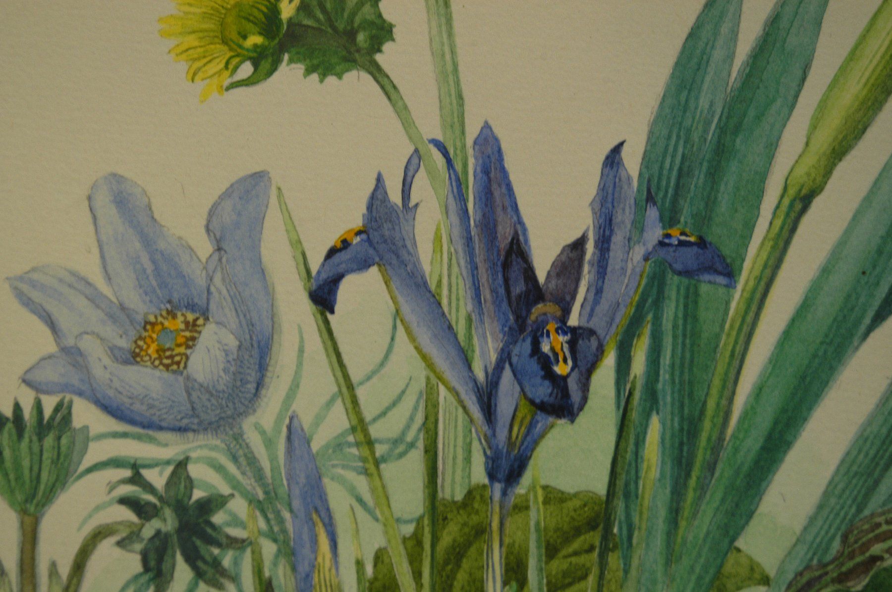 Dipinti: Blumenstilleben Aquarell signiert – Usato da Herisau venduto da Wisen 4