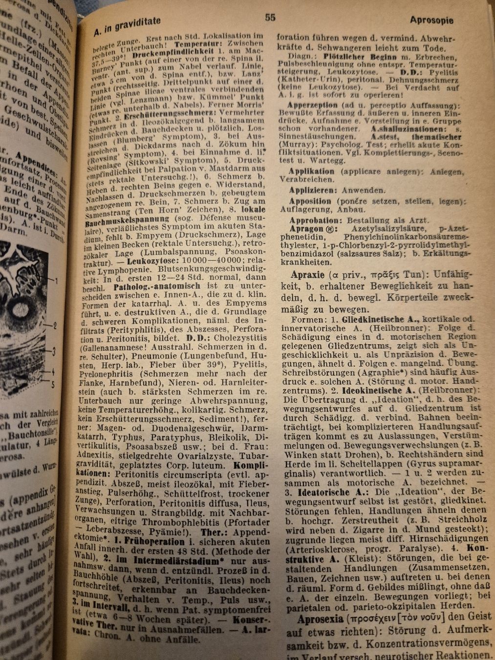 Libri: Pschyrembel klinisches Wörterbuch v. 1964 – Usato da Zug venduto da puzzle73 3