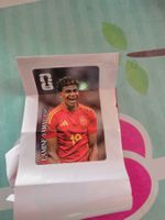 Panini Bild Special edition (Cola)