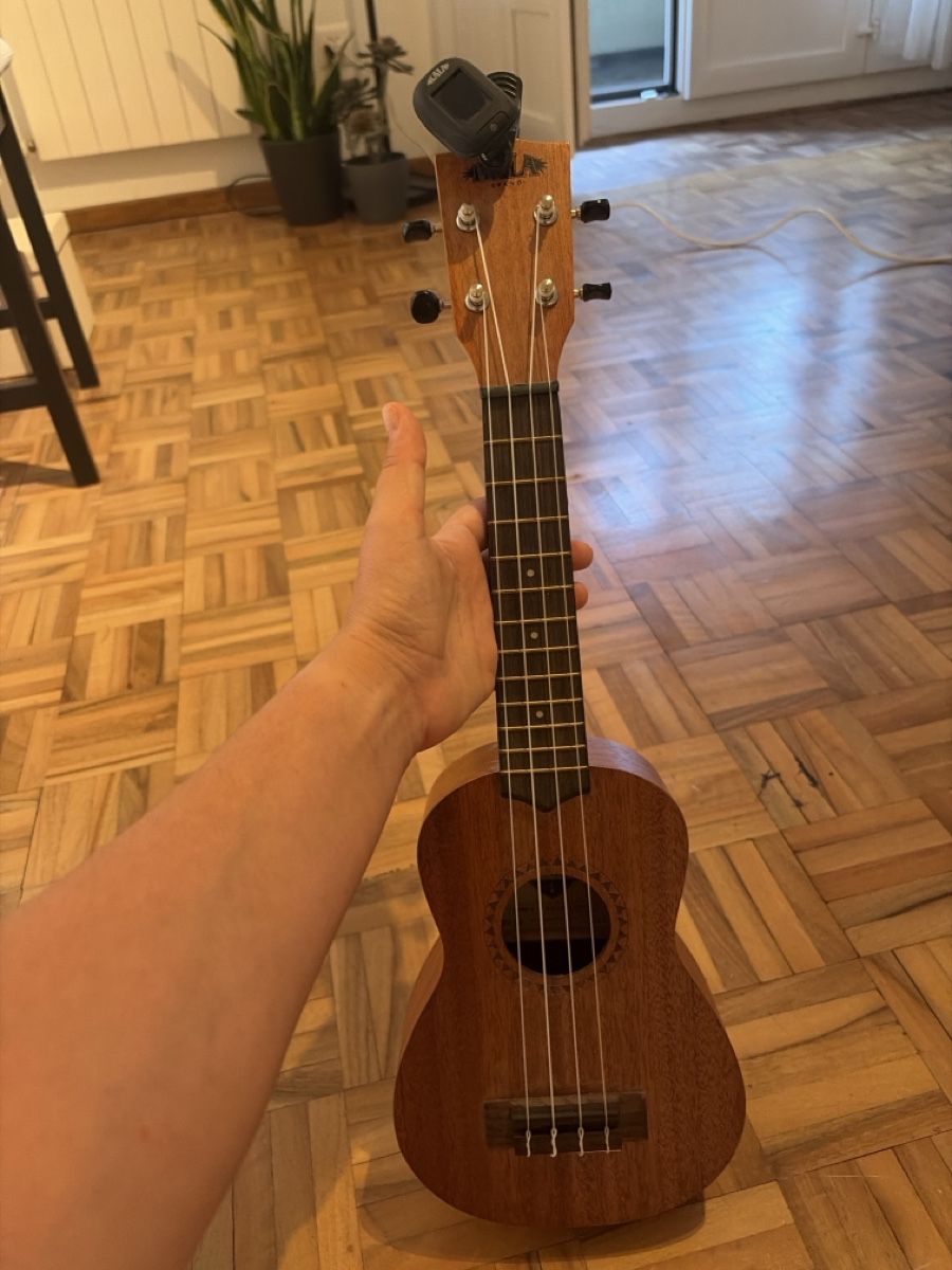 Instruments de musique: Ukulele – D'occasion à Bern par Lschorro 2