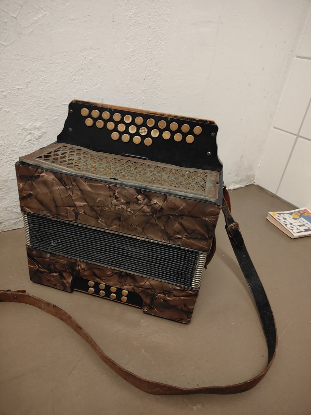 Musikinstrumente: Handorgel Schwyzerörgeli, vintage – Gebraucht aus Olten von Mezopotamya