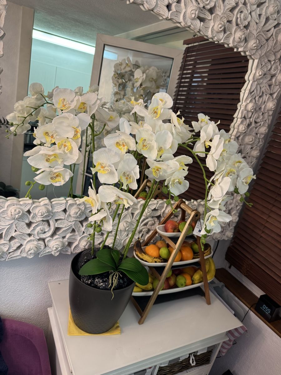 Tutte le decorazioni: Künstliche  Orchideen – Nuovo (secondo la descrizione) da Zürich venduto da Privat4444 3