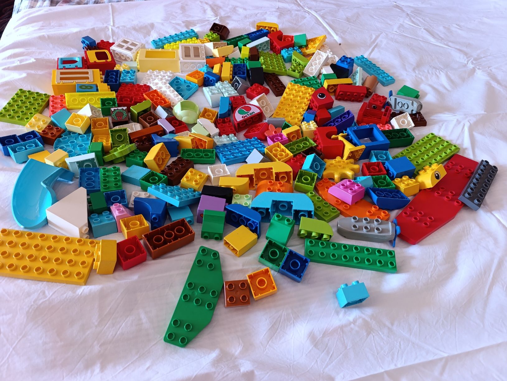 Lego Spielzeuge: 200 Lego Duplo Bausteine – Gebraucht aus Oberarth von sil_9dfs 3