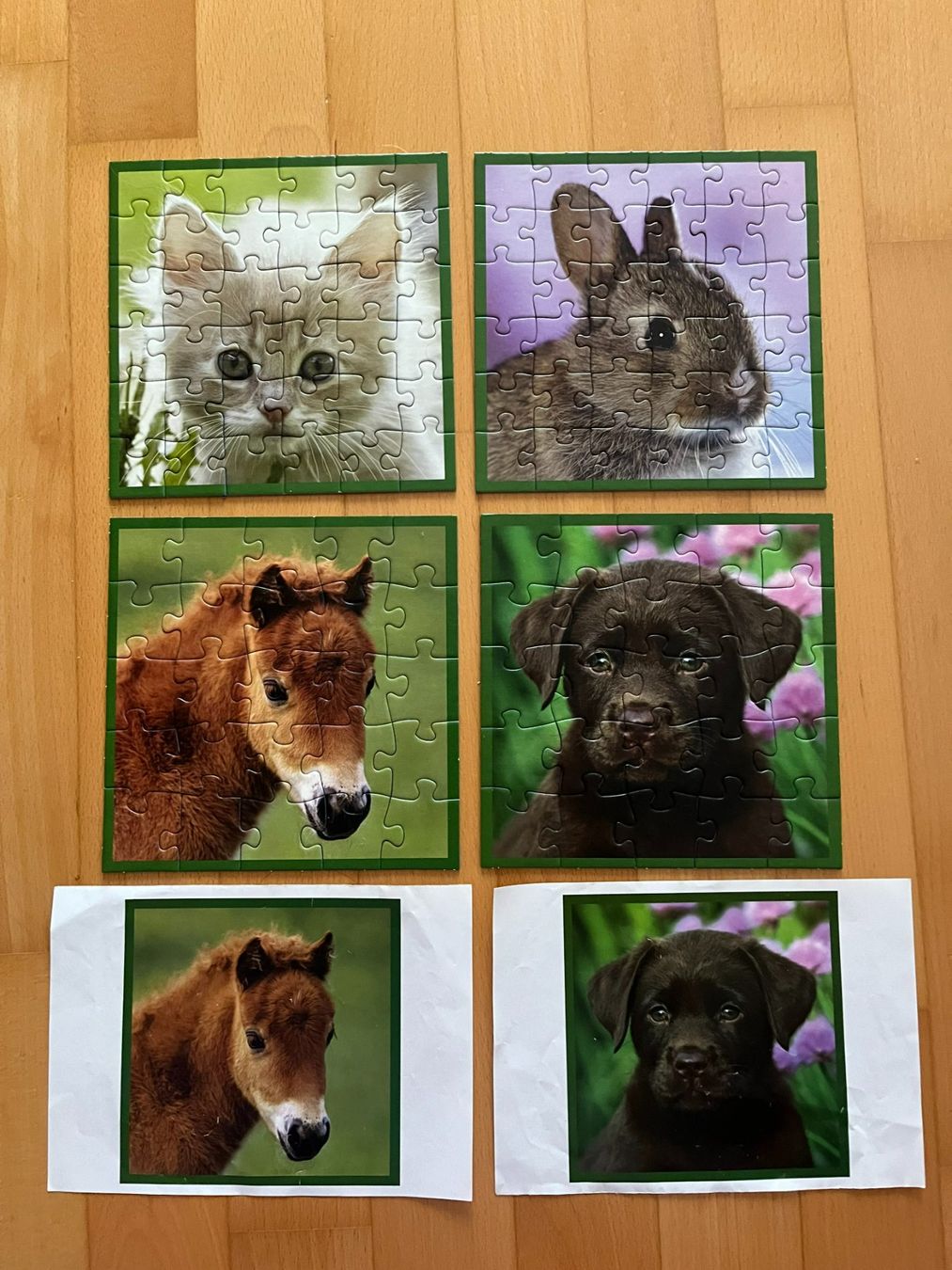 Puzzles: 4 Puzzles - Tierkinder im Freien – Gebraucht aus Muttenz von Juvenile33 7