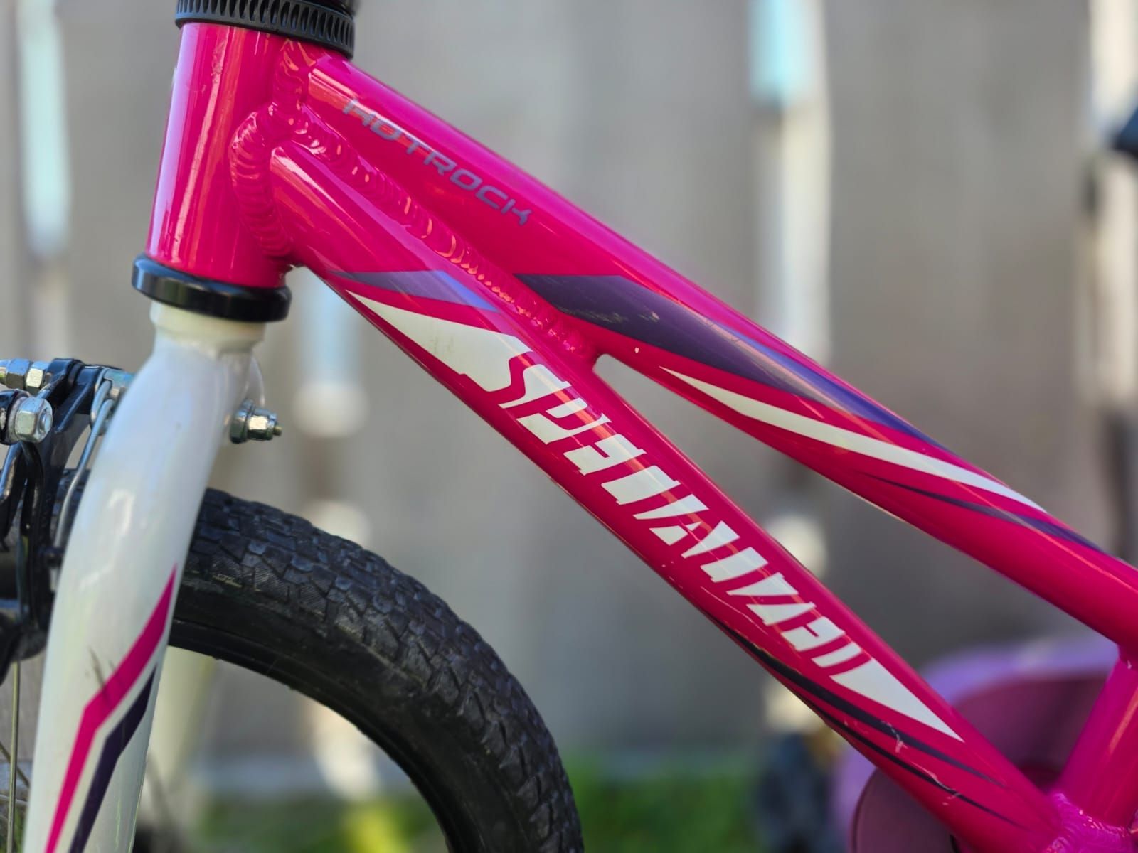 Specialized Biciclette: Kindervelo Specialized 16 Zoll  – Usato da Zizers venduto da .sternli. 2