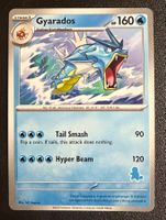 Gyarados My First Battle-Squirtle Deck