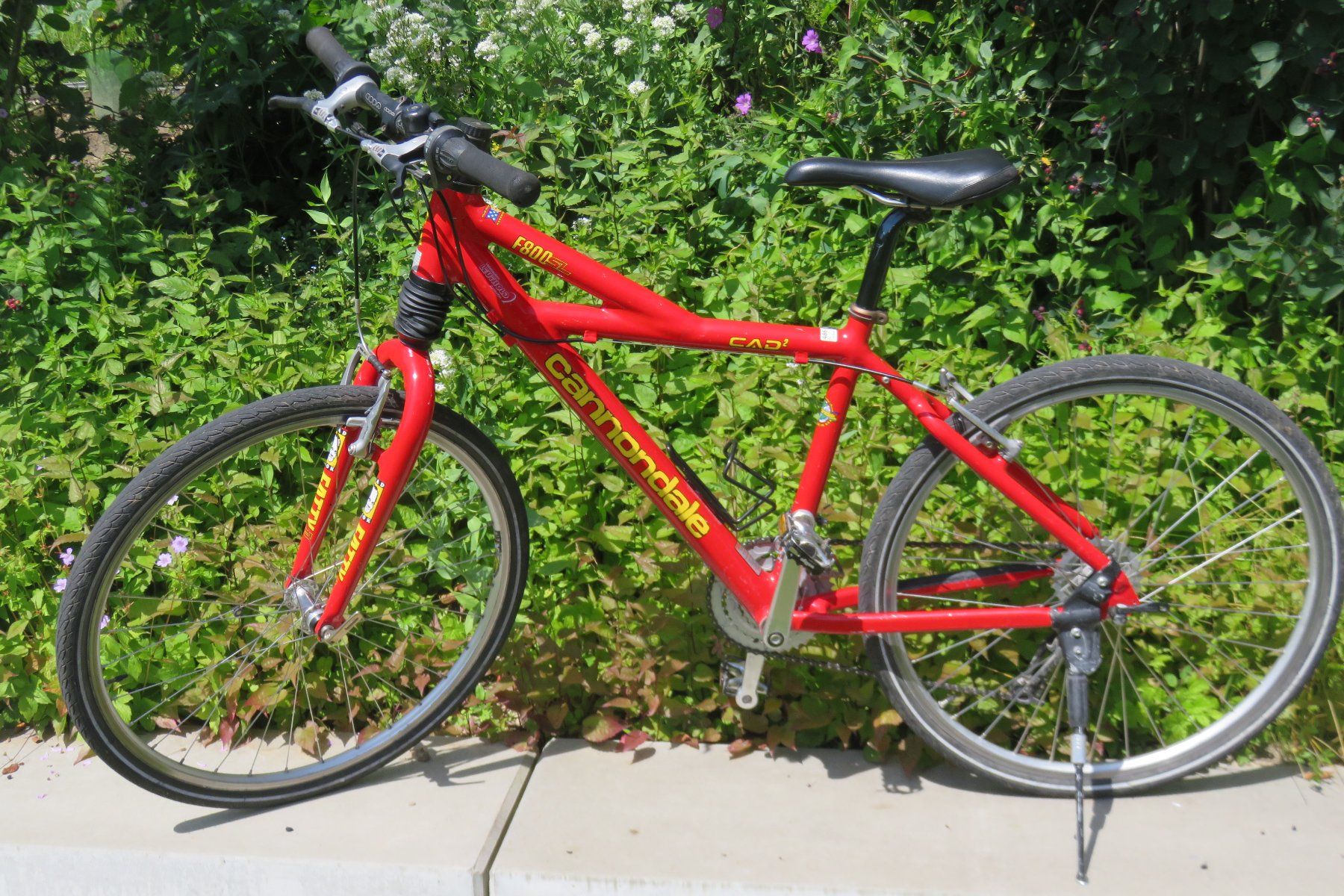Cannondale Biciclette: Cannondale F800 SL – Usato da Wohlen b. Bern venduto da Bajassli