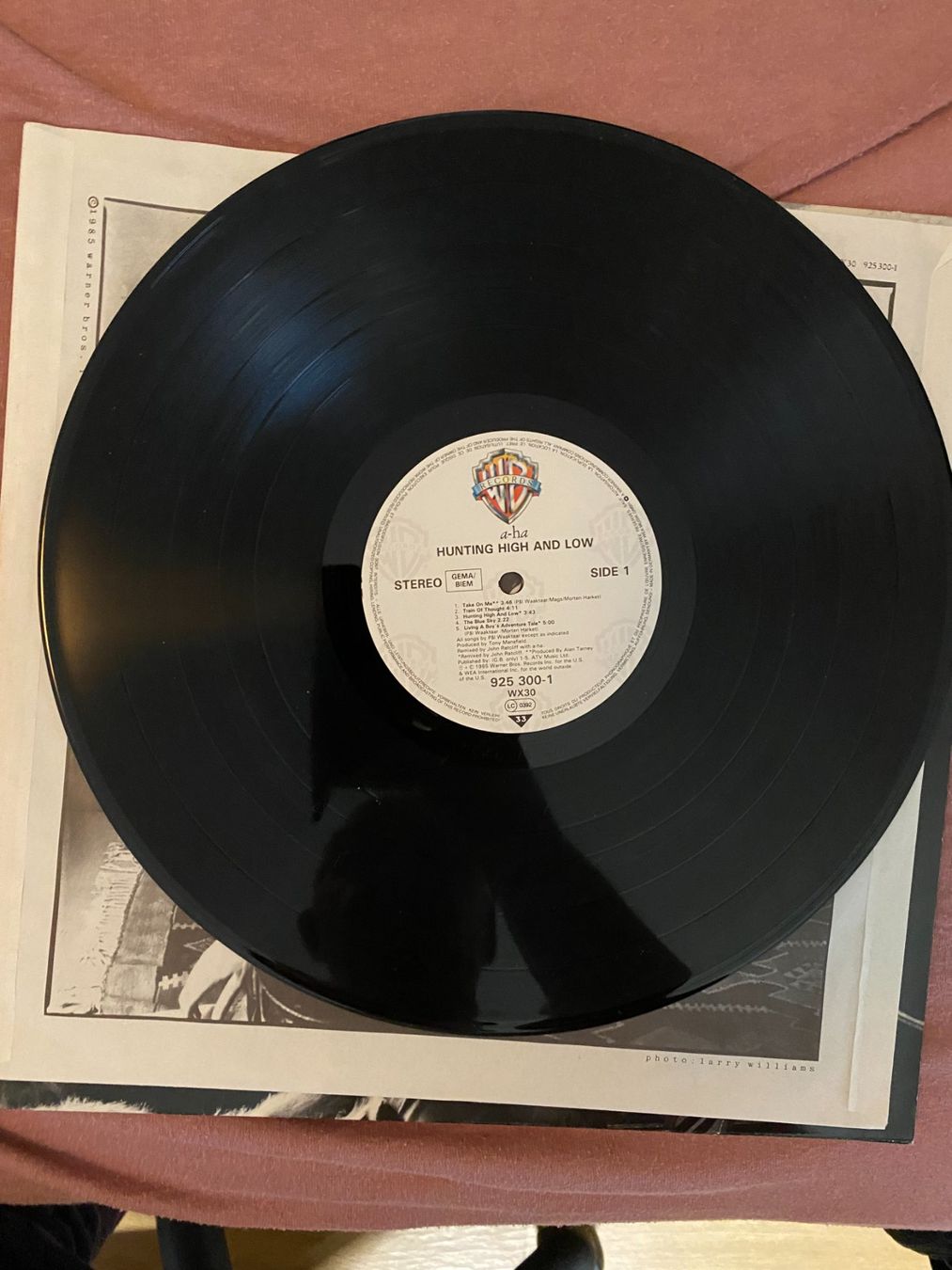 Dischi in vinile: LP – Usato da Dietlikon venduto da Nicokh 1
