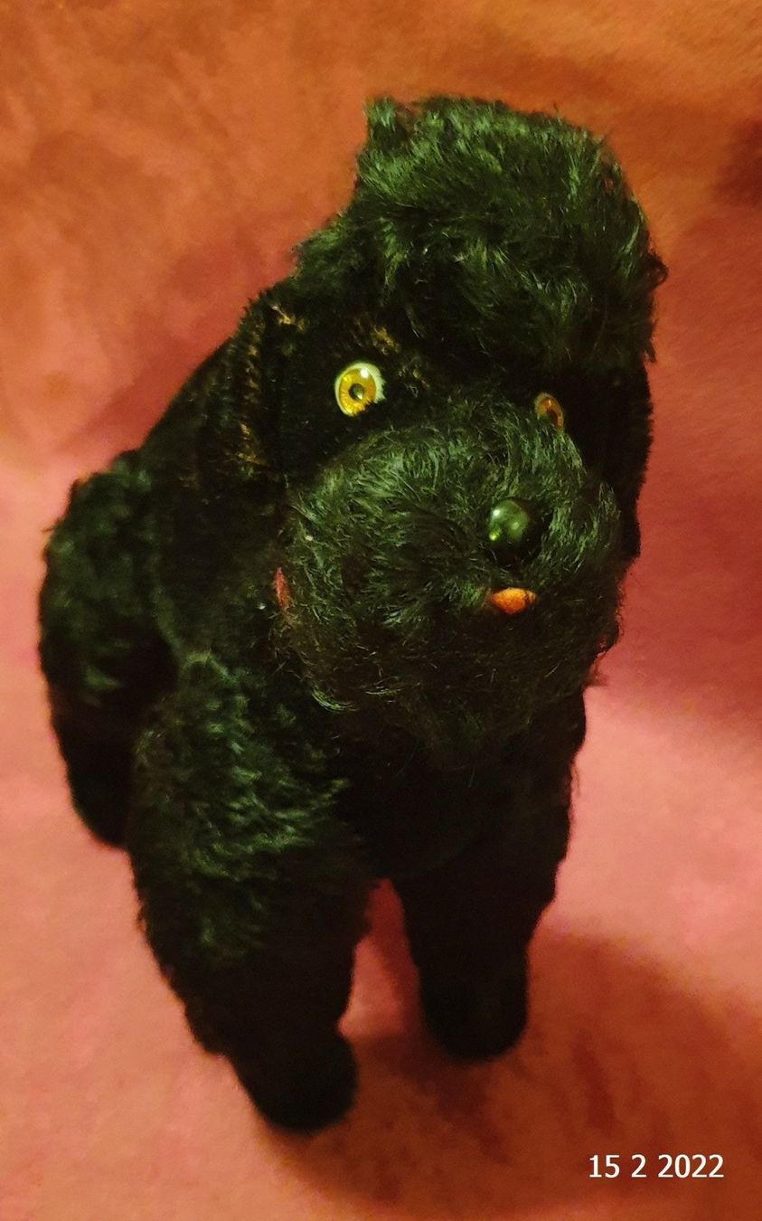 Steiff Giocattoli: Steiff Pudel Snobby ca.1960er – Usato da Basel venduto da The_Onliners 1