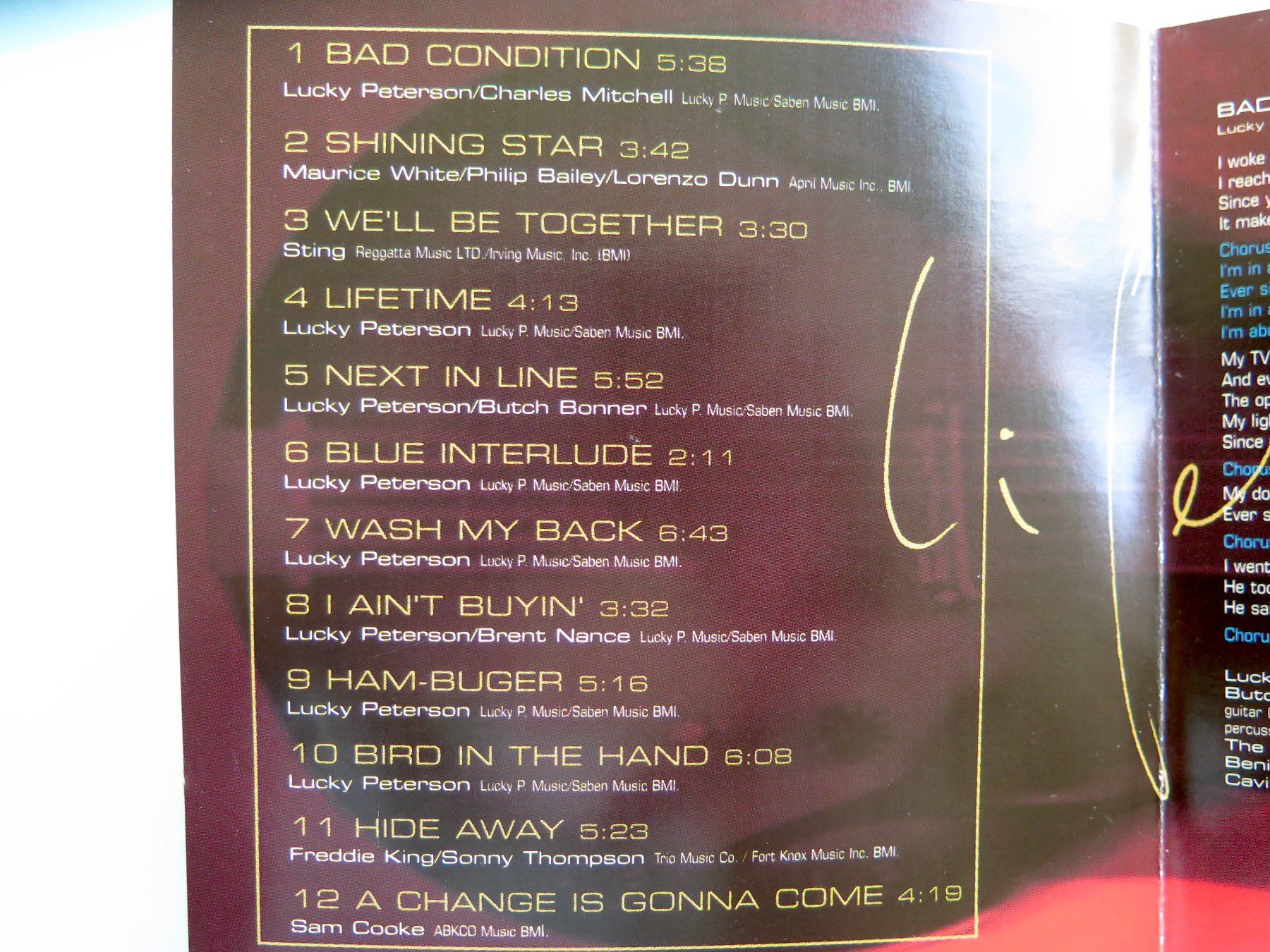 CD: (p) CD LUCKY PETERSON: Lifetime, 1995 – Usato da Bern venduto da Balzamico 3