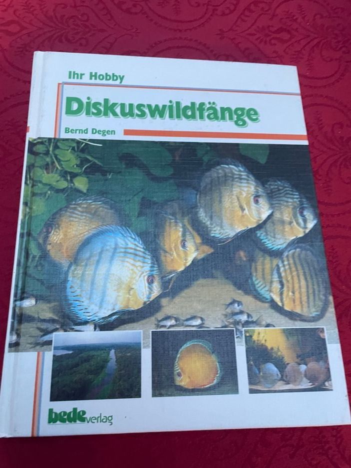 Libri: Diskuswildfänge - Bernd Degen – Nuovo (secondo la descrizione) da Bergdietikon venduto da book-4-you