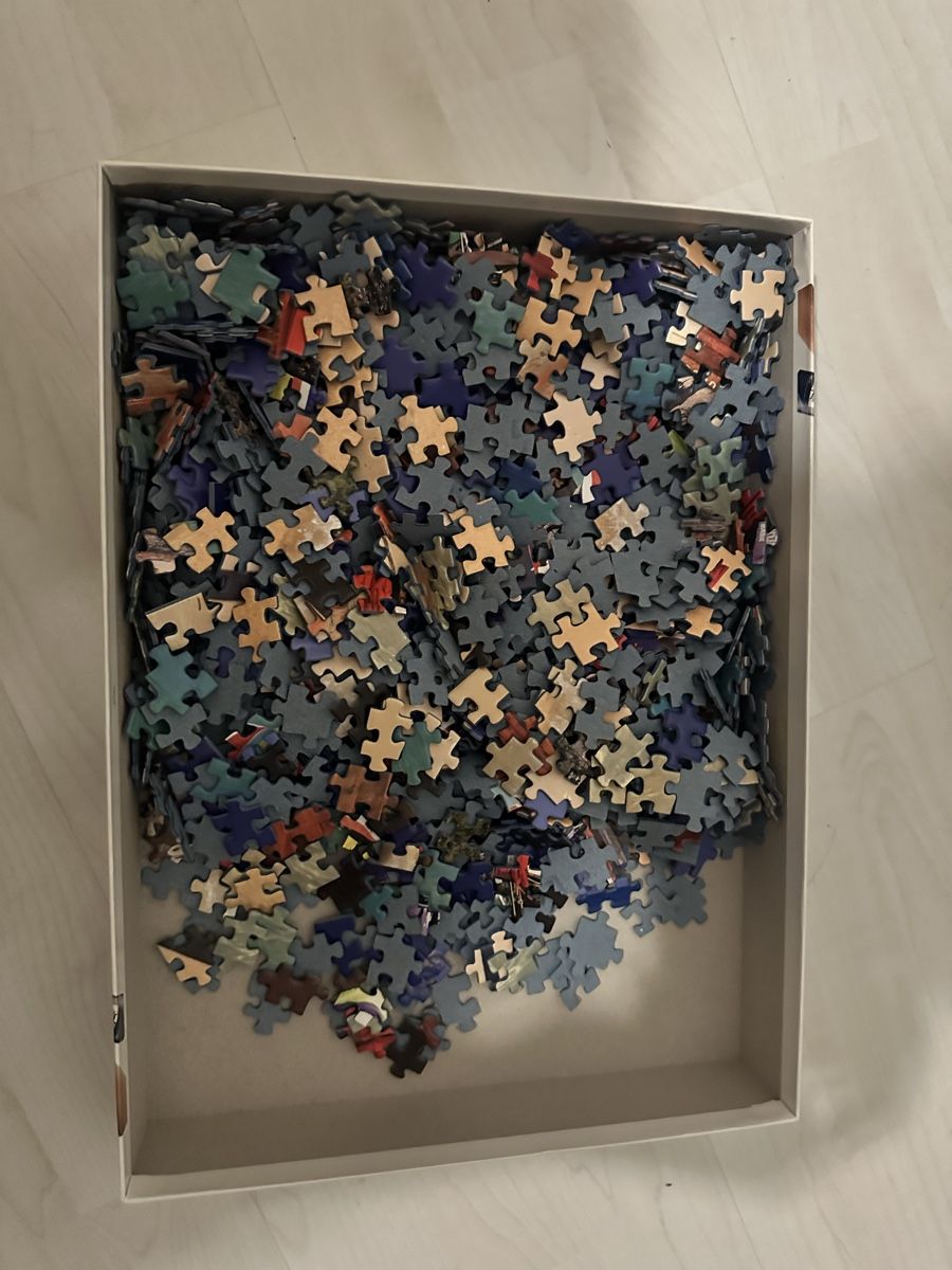 Ravensburger Puzzle: 1000 Puzzle – Usato da Neudorf venduto da Mel_m2g5 2