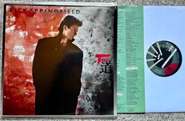 Rick Springfield – Tao - Soft Rock LP GEWASCHEN TOP 1985