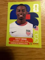 Panini USA 12 Timothy Weah