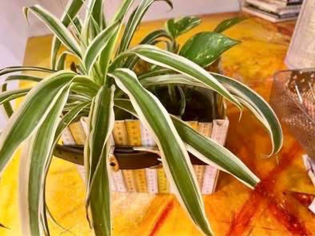 Tutte le decorazioni: Upcycling Behälter  – Usato da Frauenfeld venduto da Irene.Schuppli 1