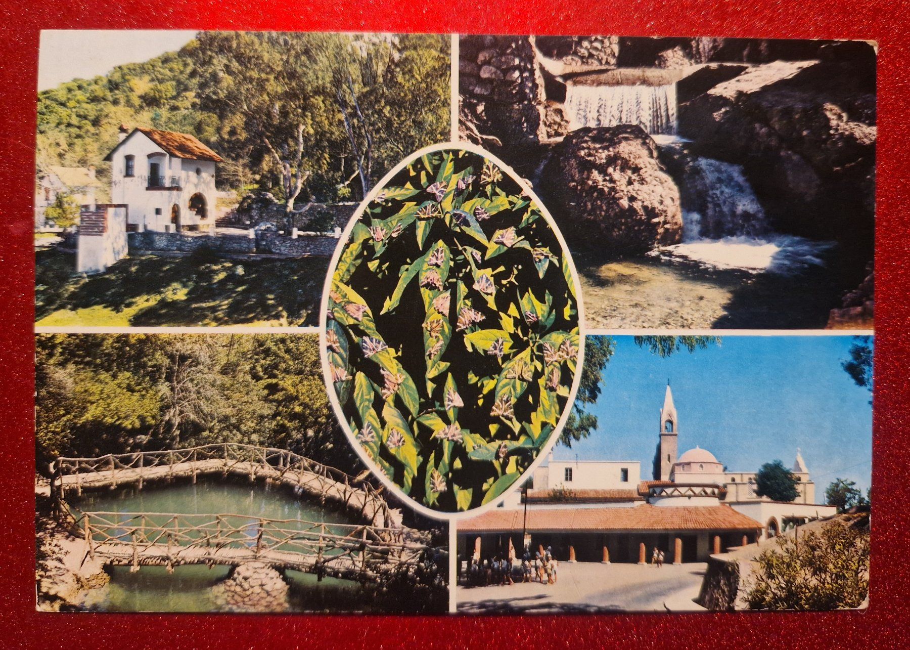Cartoline postali: Rhodos Schmetterlinge 1975 – Usato da Melchnau venduto da Arthurius