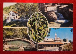 Rhodos Schmetterlinge 1975