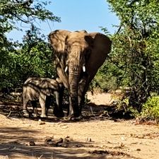 Profile image of Namibia1