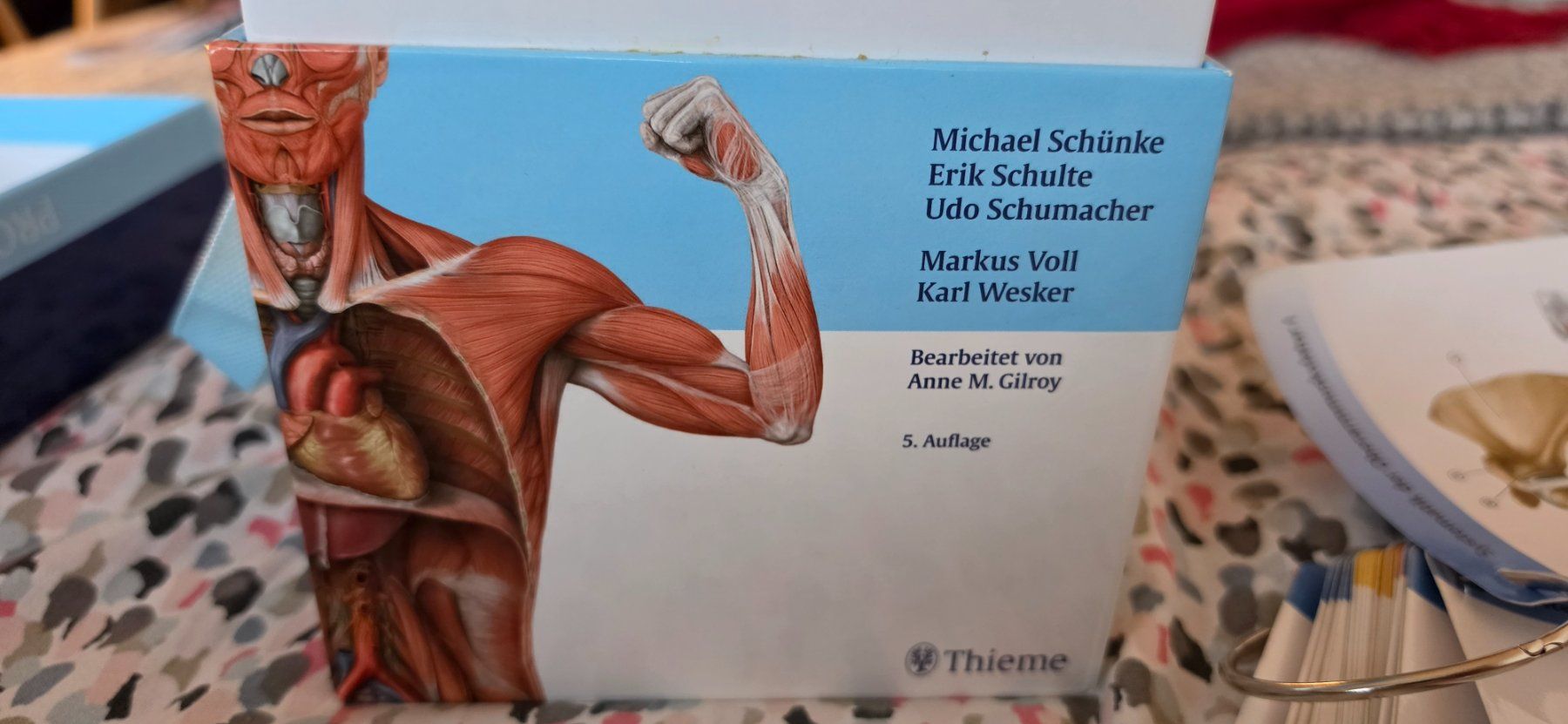 Altro materiale scolastico: Lernkarten Prometheus 5. Auflage – Usato da Bern venduto da kev_mf6f