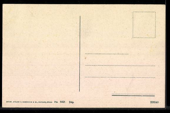 Cartoline postali: AK Romanshorn, Schloß & Kirche – Usato da Berlin venduto da bartko-reher 1