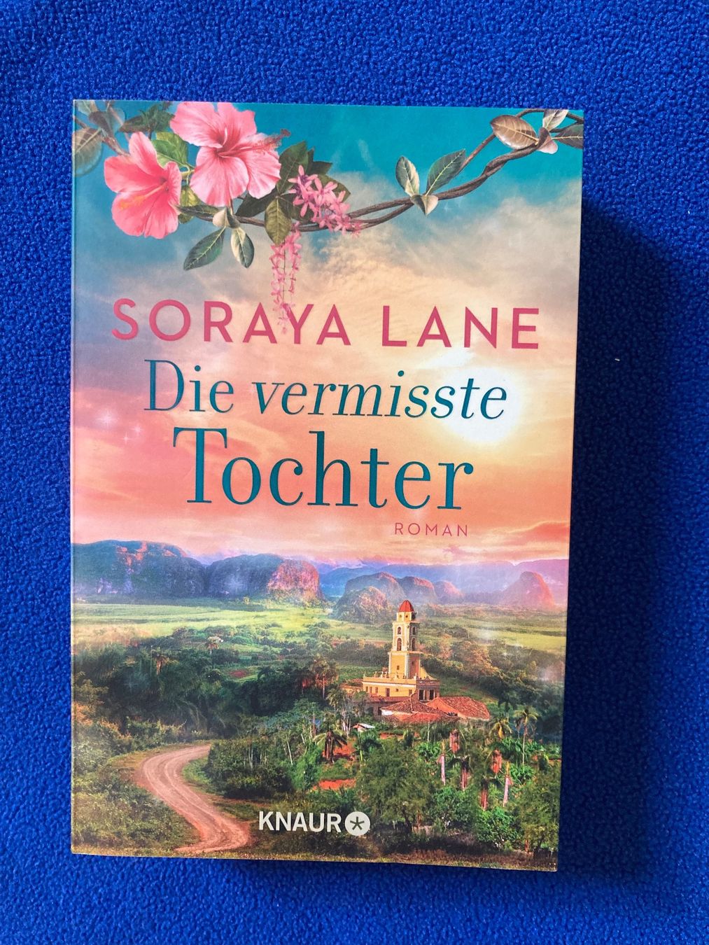 Libri: Soraya Lane  / Die vermisste Tochter – Usato da Hurden venduto da Ruby70