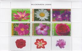 NIEDERLÄNDISCHE ANTILLEN 2009 NATUUR BLOEMEN FLORA FLOWERS**