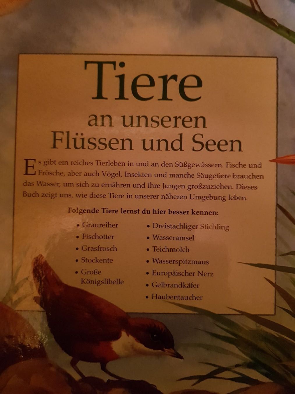 Libri: Buch Tiere an unseren Flüssen und Seen – Nuovo e nell'imballaggio originale da Schwarzenburg venduto da Flamingo07 2