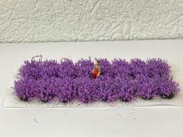 16 grosse Lavendel Sträucher, H0, Neu