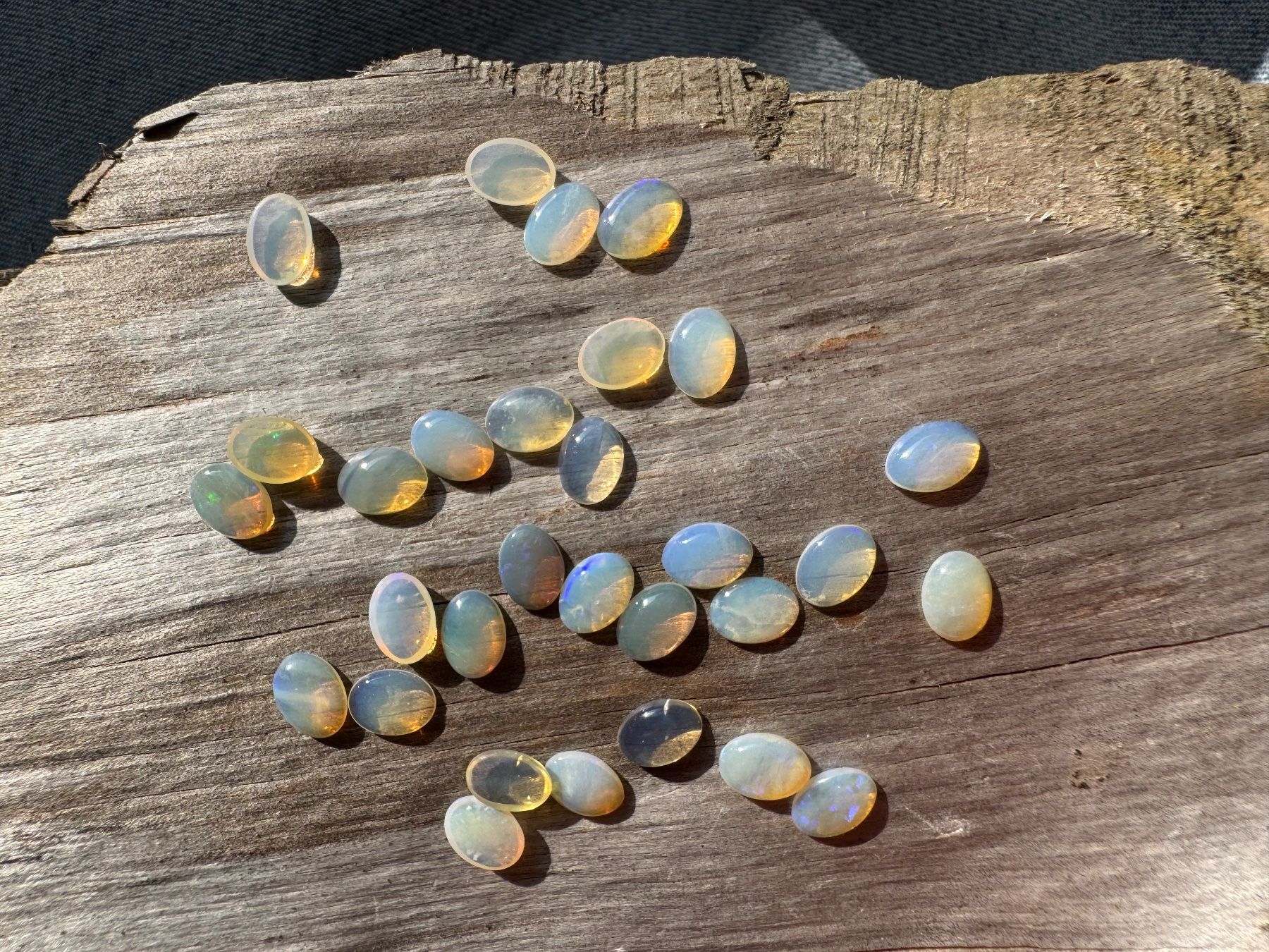 Fossili: 30 Stk  Cabochons Opal echt winzig neu   oval 5x7mm  solid – Nuovo e nell'imballaggio originale da Leuggern venduto da gemshow 6