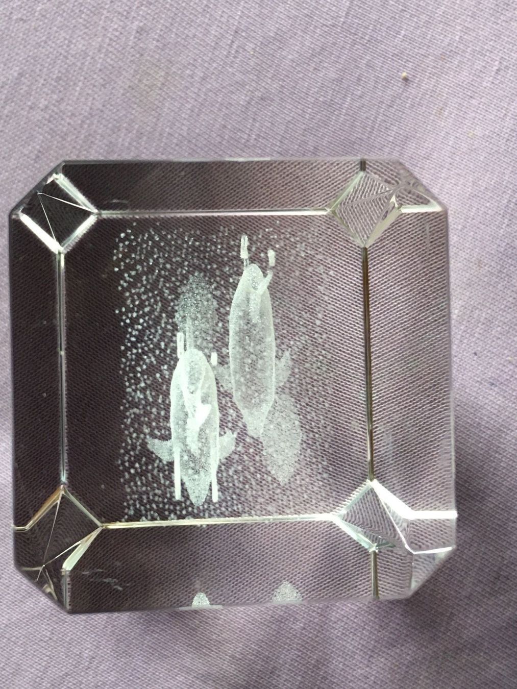 Bicchieri: Glasquader Delphine 3D – Usato da Bauma venduto da Budgerigar 4
