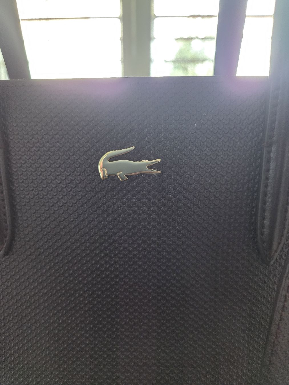 Lacoste Borse da donna: Lacoste, un sac à main – Nuovo (secondo la descrizione) da Brügg BE venduto da man_xyd9 1