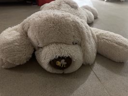 Stofftier-Hund mit süssee Biene auf Nase 🐶 