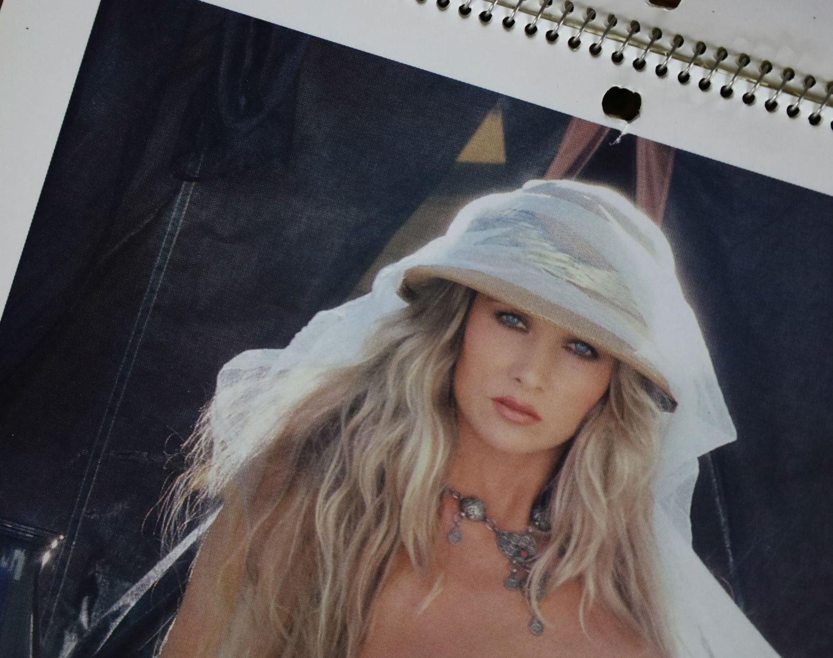 Playboy Calendari: PLAYBOY Kalender 1989 – Usato da Birrwil venduto da brandschatz_birrwil 4