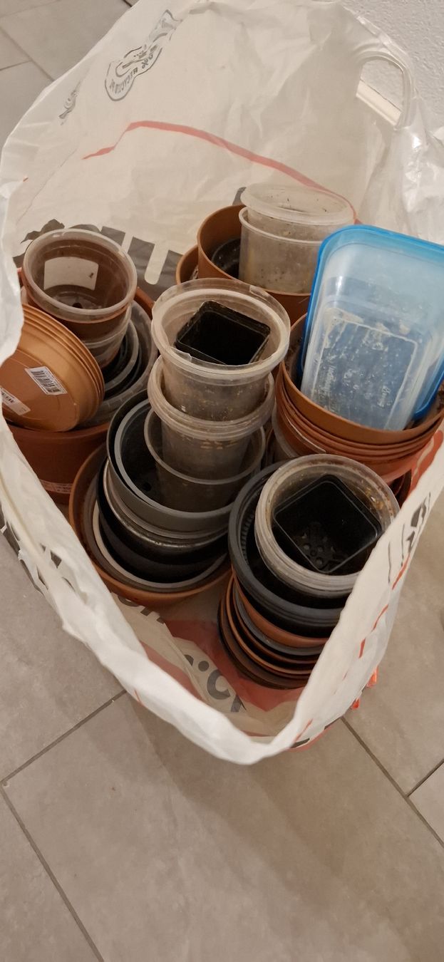 Pots de fleurs: Pots et cache-pots à vendre – D'occasion à Neuchâtel par dam_gms7 7