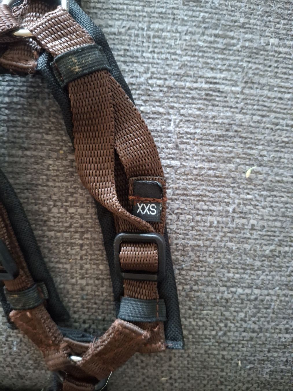 Anny X Leine & Halsband: Anny-x xxs – Gebraucht aus Langenthal von Coopkiste 2