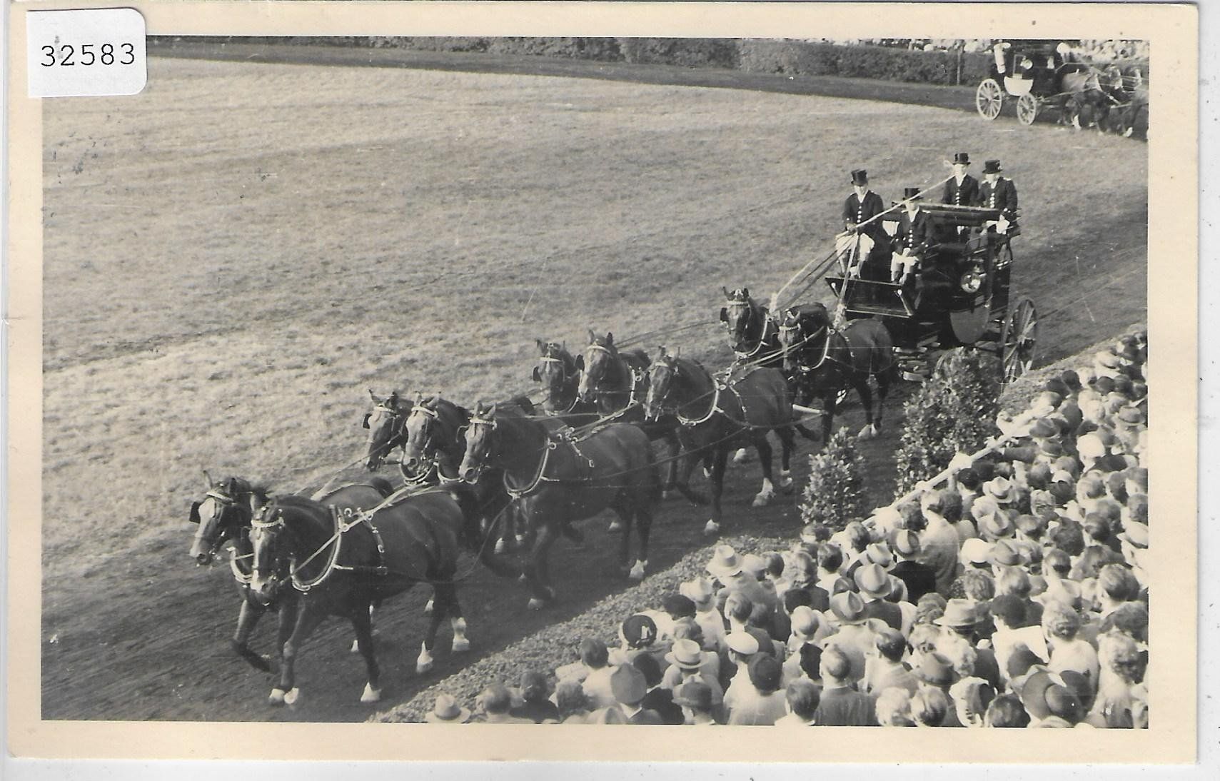 Cartoline postali: Pferdeschau - Pferde-Parade - Pferdefest – Usato da Ettingen venduto da Kartenplanet