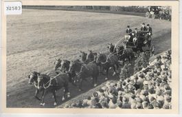 Pferdeschau - Pferde-Parade - Pferdefest