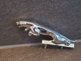 Jaguar Kühlerfigur