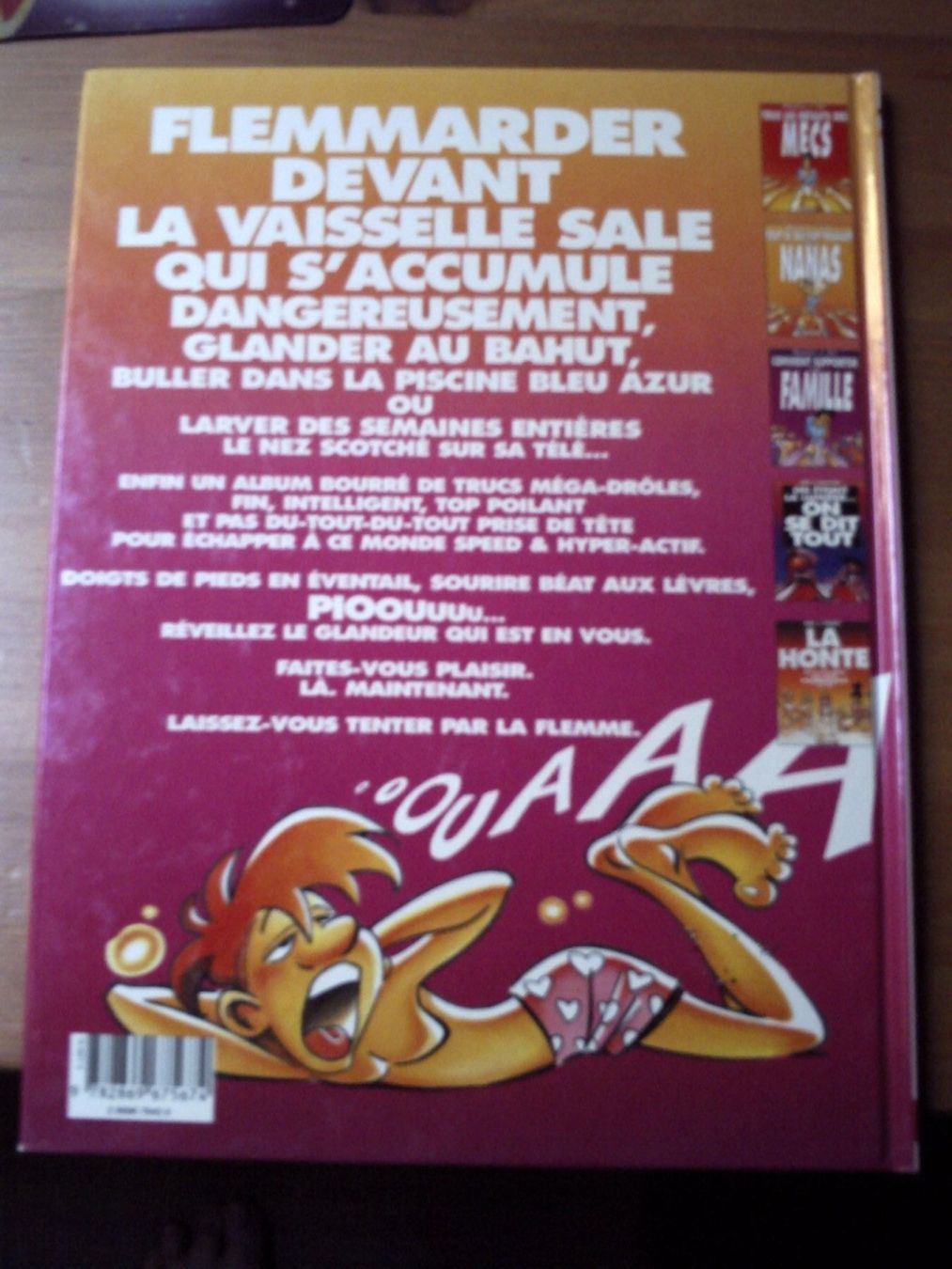Fumetti: BD La Flemme – Usato da Grône venduto da Cramouze 2