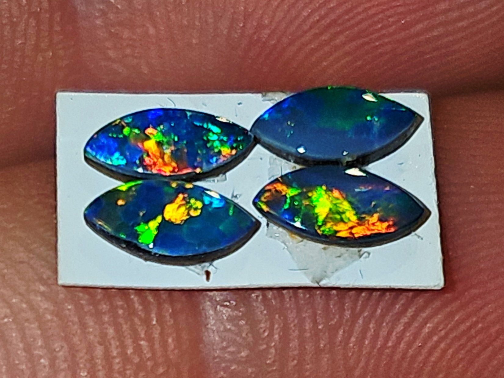 Pietre preziose: 4 Australische Opal Dubletten – Nuovo e nell'imballaggio originale da Uerkheim venduto da Winwinner 3