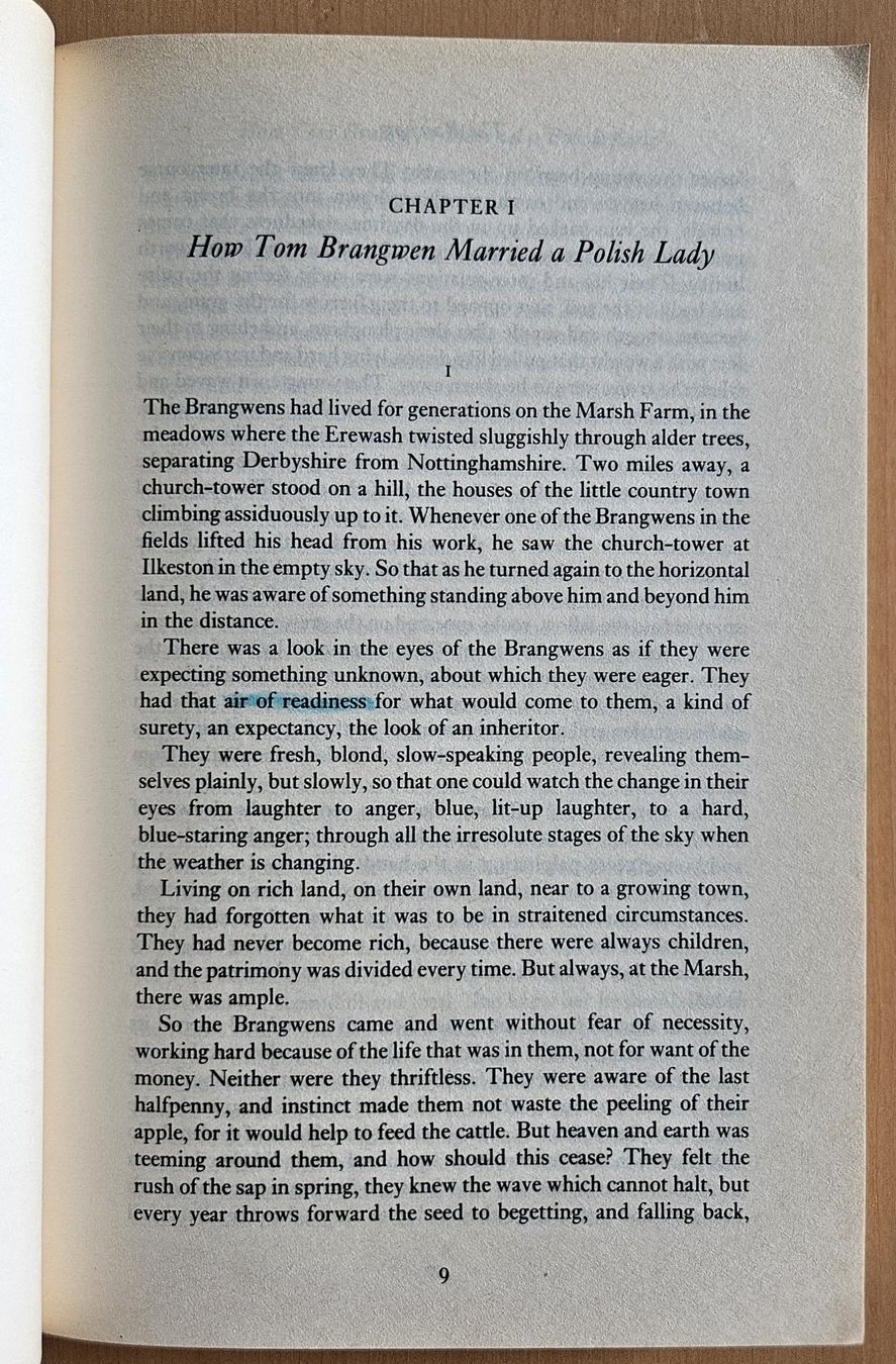 Libri: D.H. Lawrence: The Rainbow – Usato da Schaffhausen venduto da brickenthusiast 4