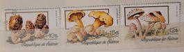 GUINEA – PILZE / CHAMPIGNONS