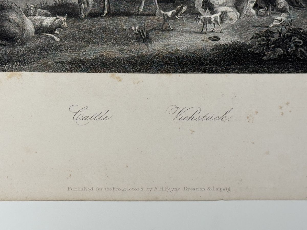 Stiche: Antike Stiche "Evening" & "Cattle" von A.H. Pyne – Gebraucht aus Erstfeld von Mario_boe0 6