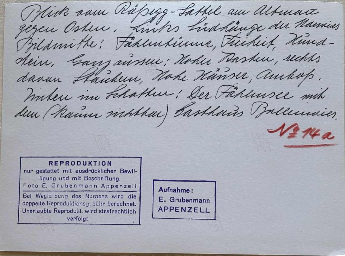 Ansichtskarten: Foto E. Grubenmann, Appenzell, Altman, 12x17 cm – Gebraucht aus Frauenfeld von Merk52 1