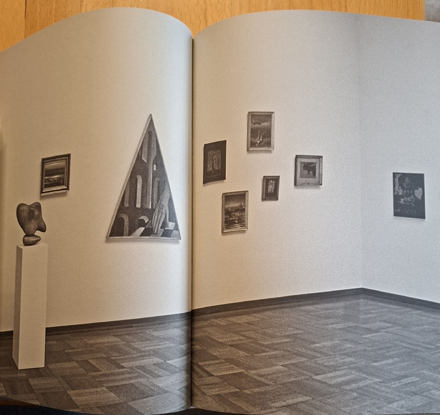 Libri: Die Sammlung der Emanuel Hoffmann-Stiftung, Kunstbuch – Nuovo (secondo la descrizione) da Niederglatt ZH venduto da Siegfried67 3